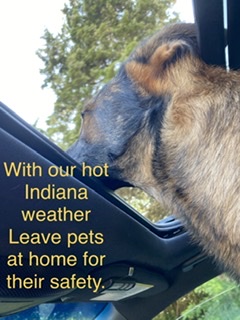 Keep Pets safe in the Heat.