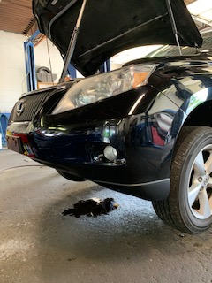 Auto Service Near Me >> Blog Rick S Auto Service Auto Service Near Me >> Blog Rick S Auto Service