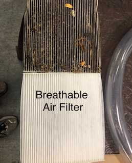 Have Allergies? Why change your Cabin Filter ...