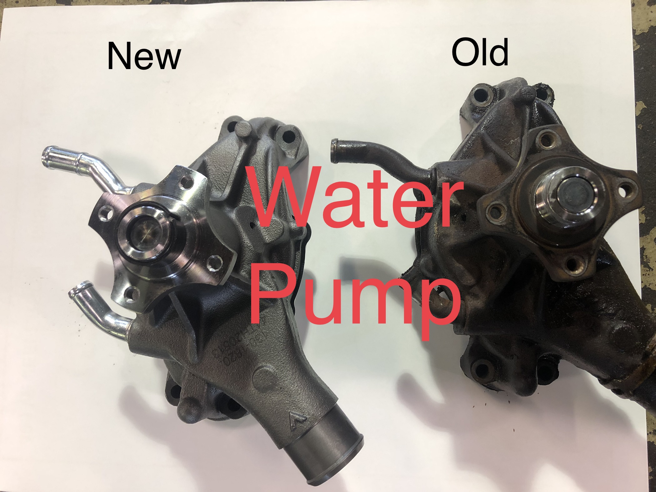 What does my Water Pump do