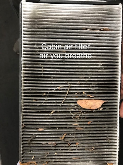 Air Cabin Filter to change or not to change.